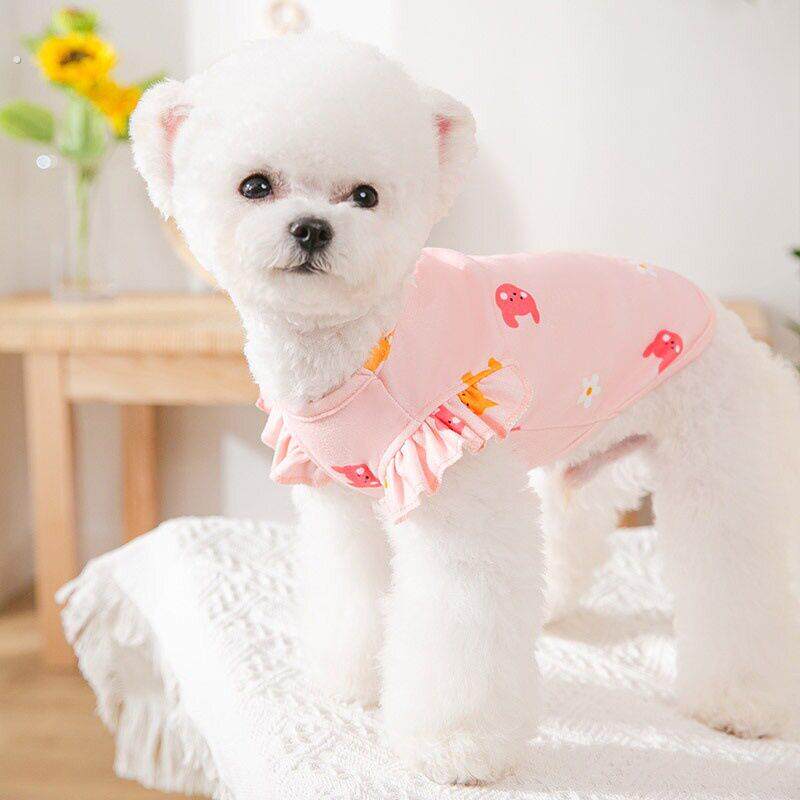 春季薄款猫咪飞袖背心狗狗两脚衣中小型犬幼犬猫猫秋季宠物衣服