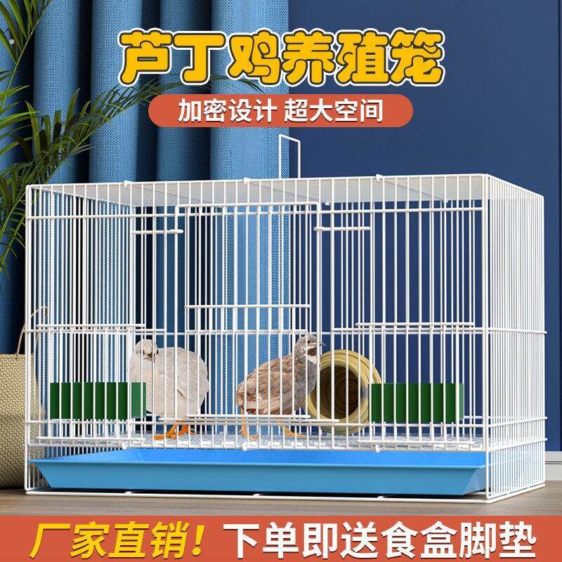 芦丁鸡专用饲养箱鸡窝卢丁鸡笼育雏全套养殖小鸡观赏笼加密铁笼