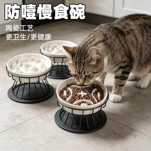 拾光屿陶瓷慢食碗 猫咪狗狗防噎缓食盆护颈防打翻防黑下巴宠物碗