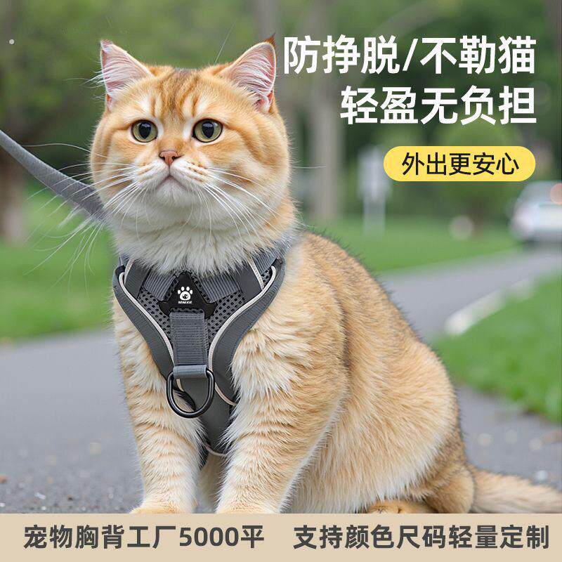 猫咪牵引绳防挣脱外出溜猫绳宠物背带链子可调节红遛猫