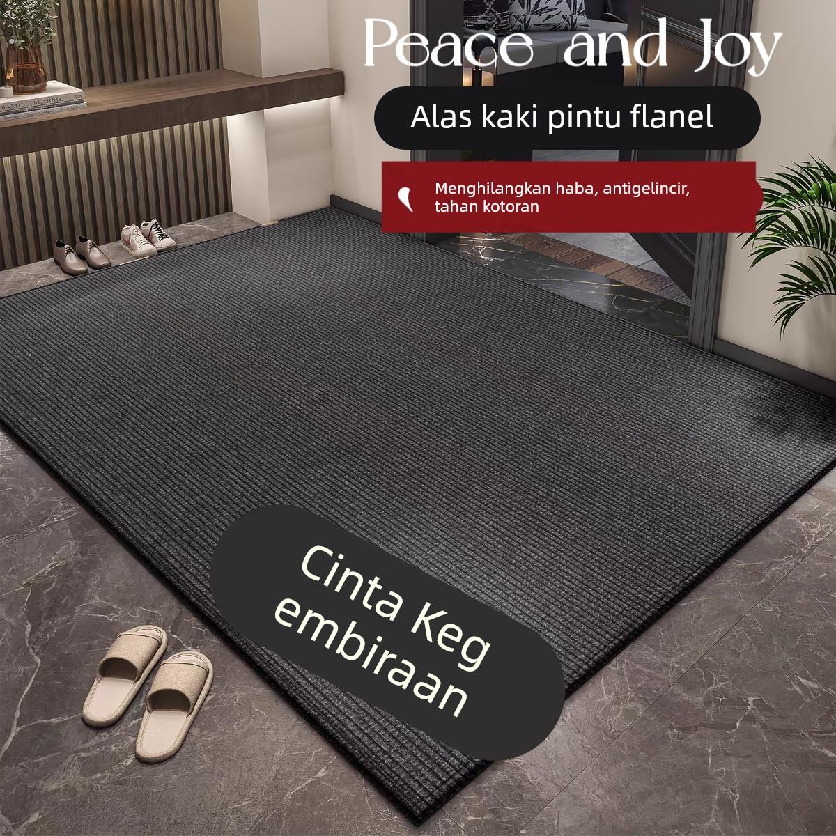 入户门地垫2025新款进门门口脚垫高端防滑耐脏玄关地毯门外蹭脚垫