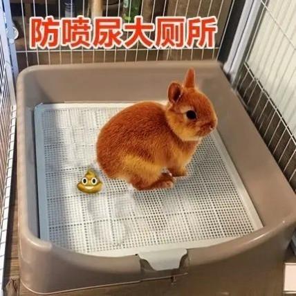 兔子厕所大号防喷尿围栏宠物小兔兔荷兰猪拉屎尿便便盆专用厕所品