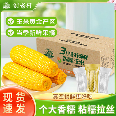 东北黄糯玉米真空包装