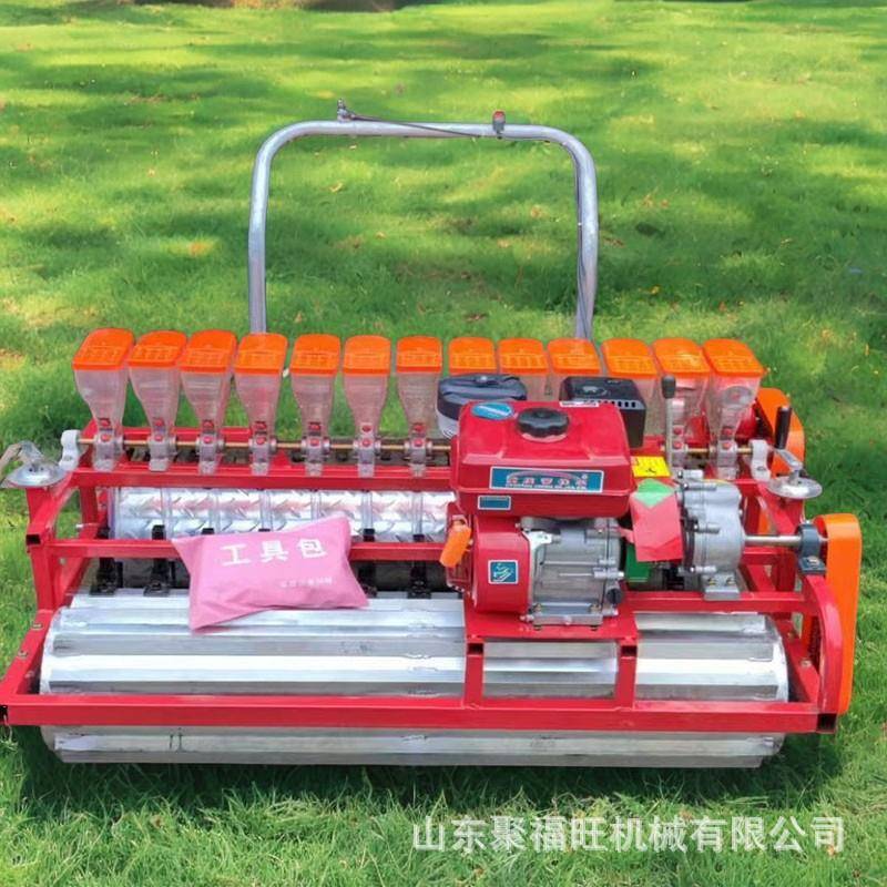 汽油香菜白菜菠菜播种机油菜籽芝麻点播机花卉草坪柴胡播种机
