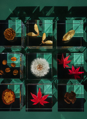 格格物植物矿石标本 手工桌面小 朋友情侣礼物