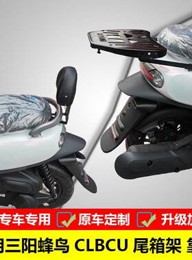 适用三阳蜂鸟CCU尾箱架后货架 -0改装后靠背靠垫