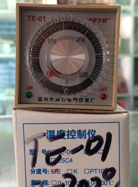 温州南方仪表温控表TE-01电烤箱封口机指针温度控制器E型300