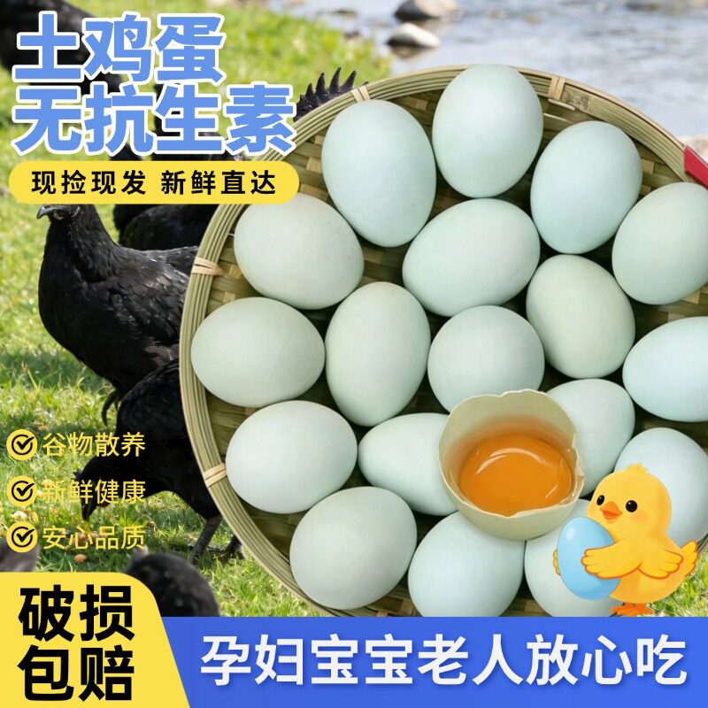 精选绿皮乌鸡蛋新鲜农家放养正宗柴鸡蛋适合月子食用宝宝辅食