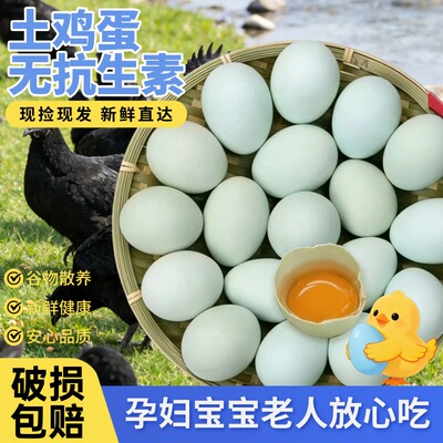 精选绿皮乌鸡蛋新鲜农家放养正宗柴鸡蛋适合月子食用宝宝辅食