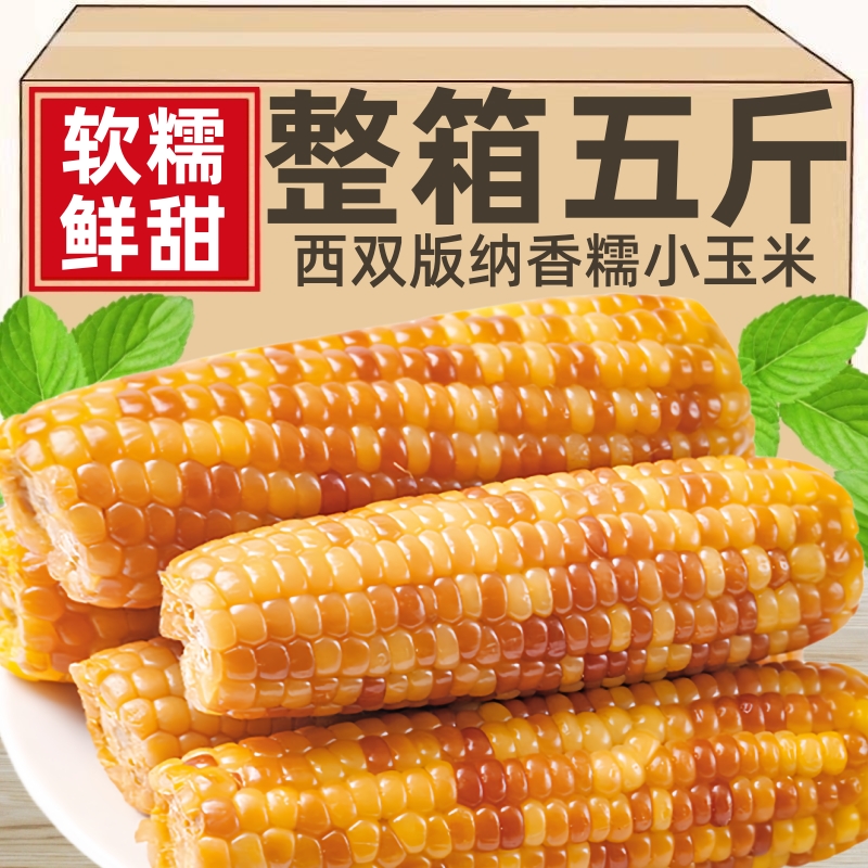 新货糯香特产云南小玉米即食真空新鲜西双版纳甜糯玉米棒粗粮代餐