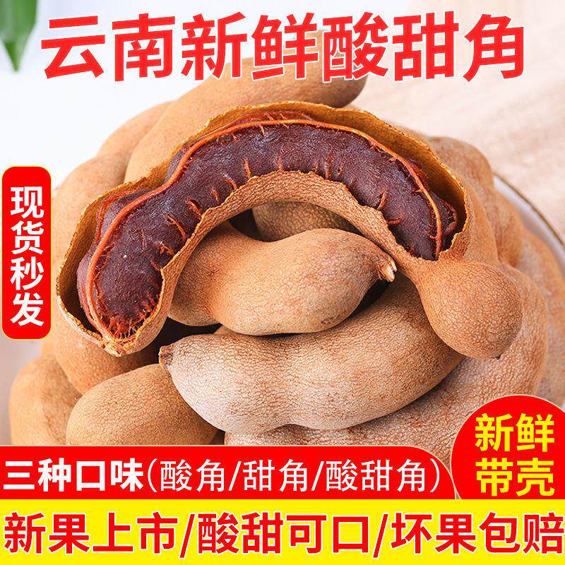 。酸角云南特产新鲜甜酸角