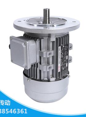 中国铝壳三相电动机YE2/JS/YS-71M2-4极0.37W立式卧式高效率