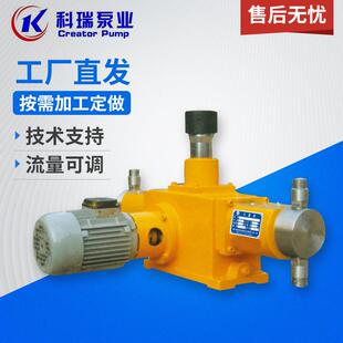 2J-X型柱塞计量泵加药计量泵大流量计量泵