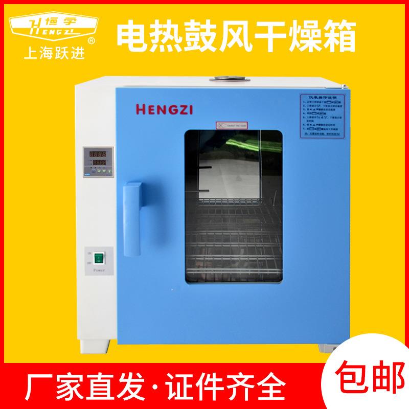 电热恒温鼓风干燥箱烘箱ZF-II-101-0/1/2/3/4/5实验箱