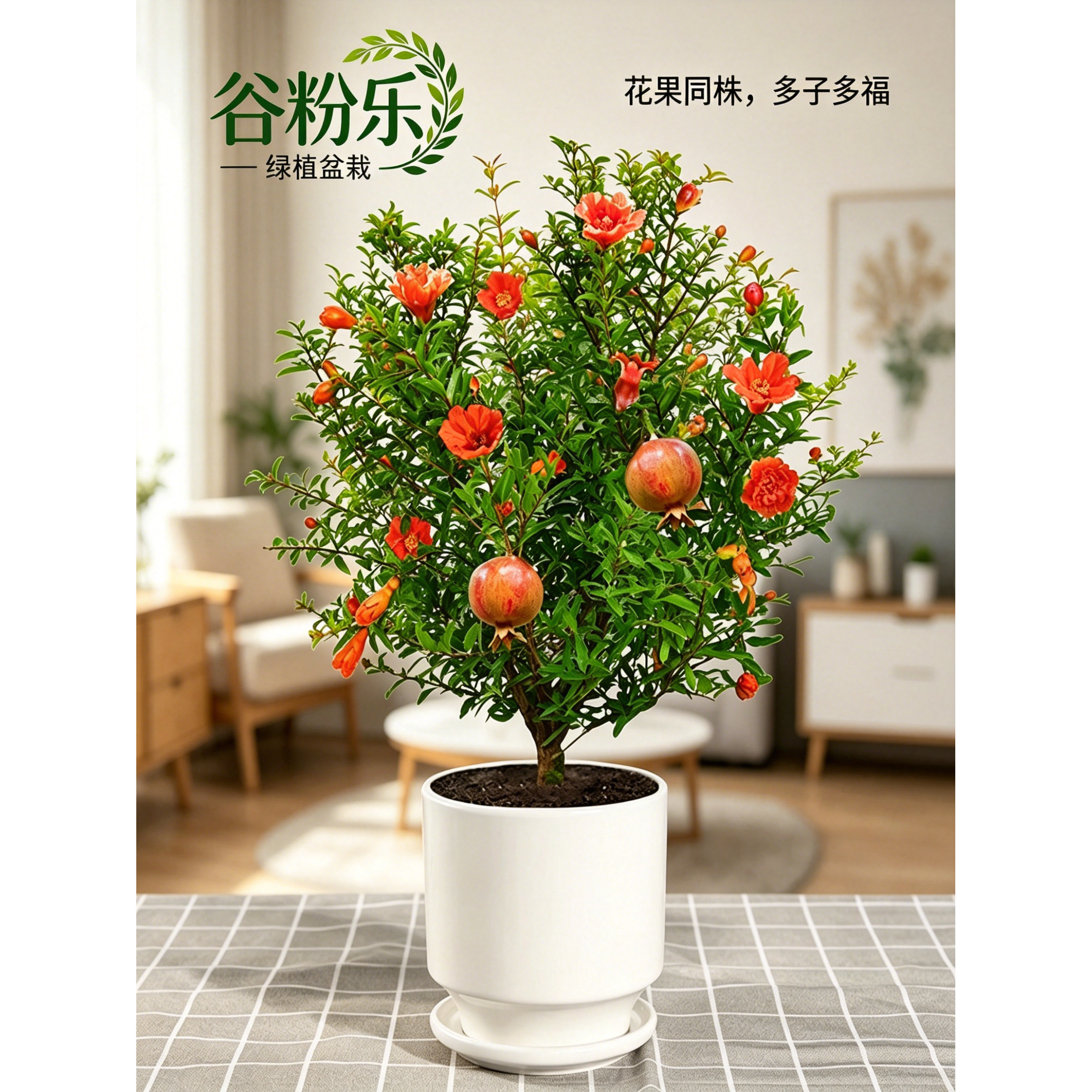 石榴花盆栽室内客厅可食用四季观赏果树盆景阳台耐寒花卉老桩绿植