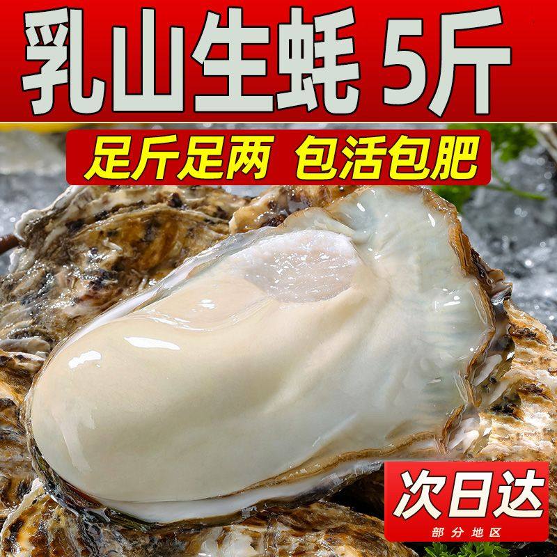 蚝丫丫正宗乳山生蚝鲜活特大牡蛎海蛎子海鲜生蚝即食礼盒小红扇贝,水产肉类/新鲜蔬果/熟食,生蚝,淘宝优惠券,粉丝福利购,淘宝优惠卷