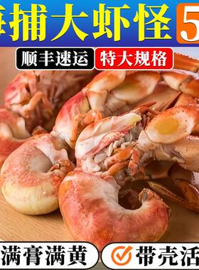 【保鲜不保活】山东威海海怪海鲜