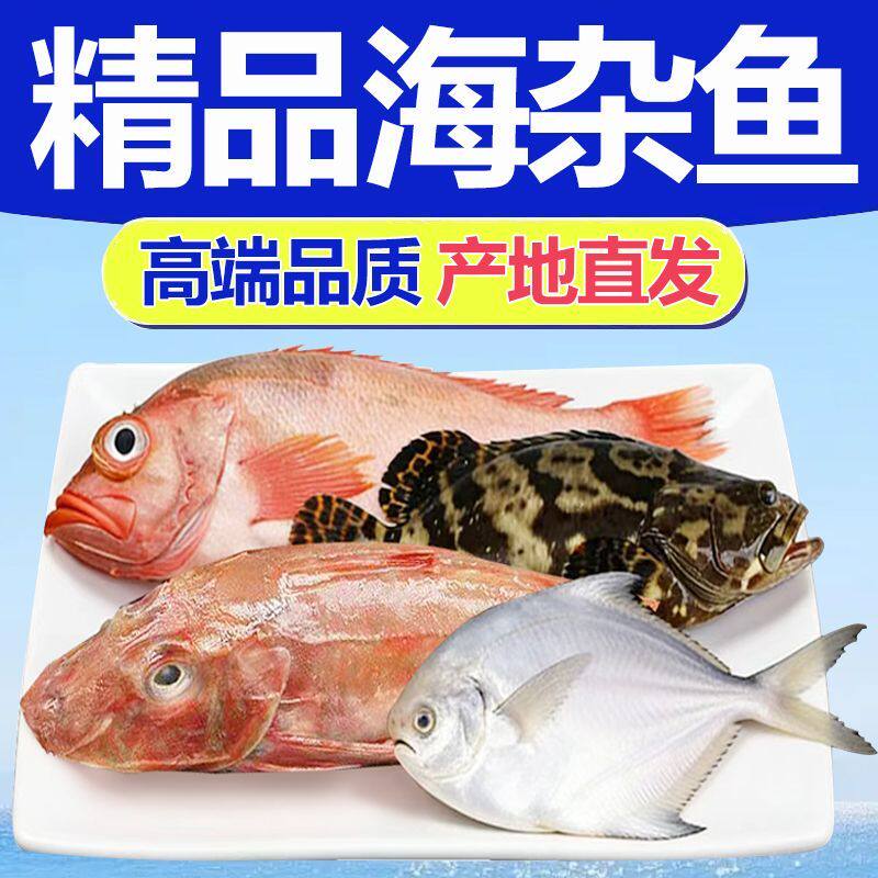 青岛海杂鱼新鲜大杂烩海鲜水产小黄鱼鲳鱼鲅鱼冷链鲜活海鳗鱼米鱼