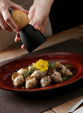 高级感红色陶瓷鱼盘家用蒸鱼盘子多宝鱼盘耐高温西餐盘汤盘烤箱盘