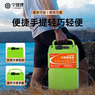 21V锂电池背负式割草机专用大功率充电式角磨机电锯电锤配件大全