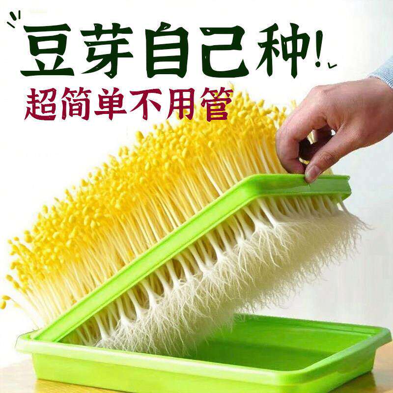 蔻集水培无土育苗盘可降解耐用