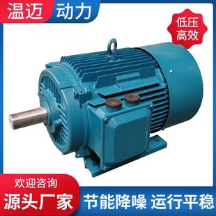 使用壽命更長 河北生產同步電磁電機ie5電機高效節能方便拆裝