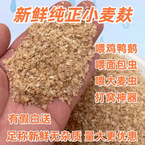 新鲜麦麸小中鸡饲料10斤20斤50斤