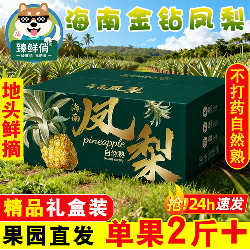 【5A级礼盒装】精品金钻凤梨4枚