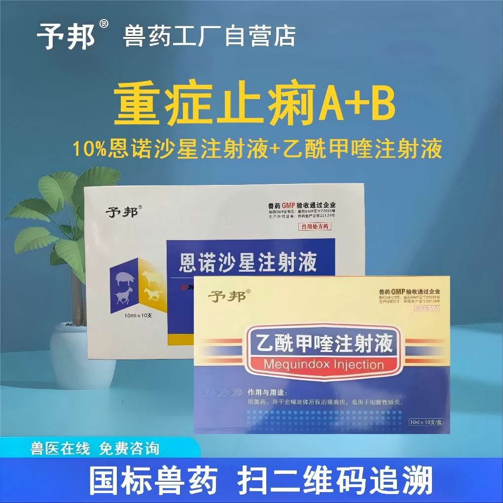 兽药重症止痢乙酰甲喹恩诺沙星仔猪黄白痢血痢细菌性病毒性腹泻