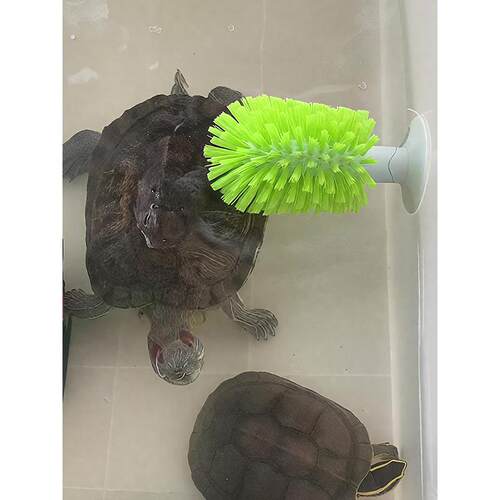 乌龟清洁小刷子龟甲清理刷吸盘式清洁刷水龟蹭背神器甲壳宠物通用