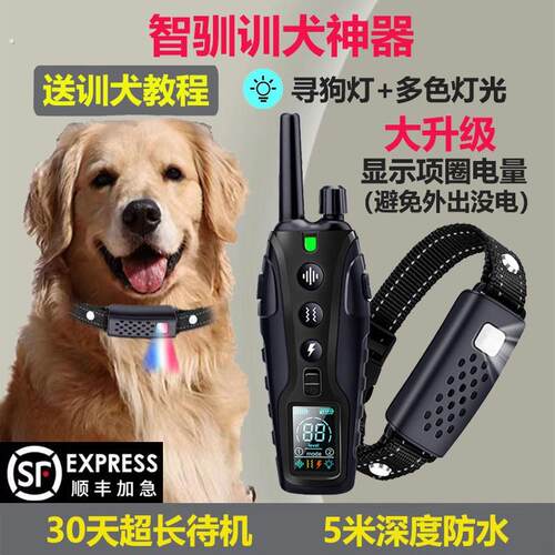 智驯彩屏遥控训狗器狗电击项圈训犬神器电子脖圈防狗叫止吠大小型