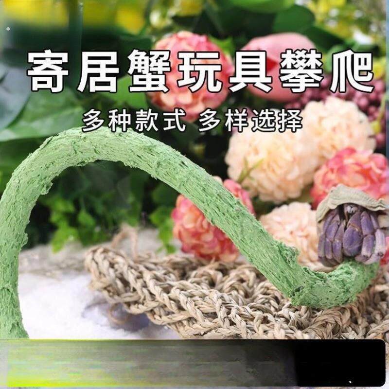 寄居蟹爬藤爬宠攀爬寄居蟹攀爬睫角守宫攀爬藤条甲虫攀爬沉木杜鹃