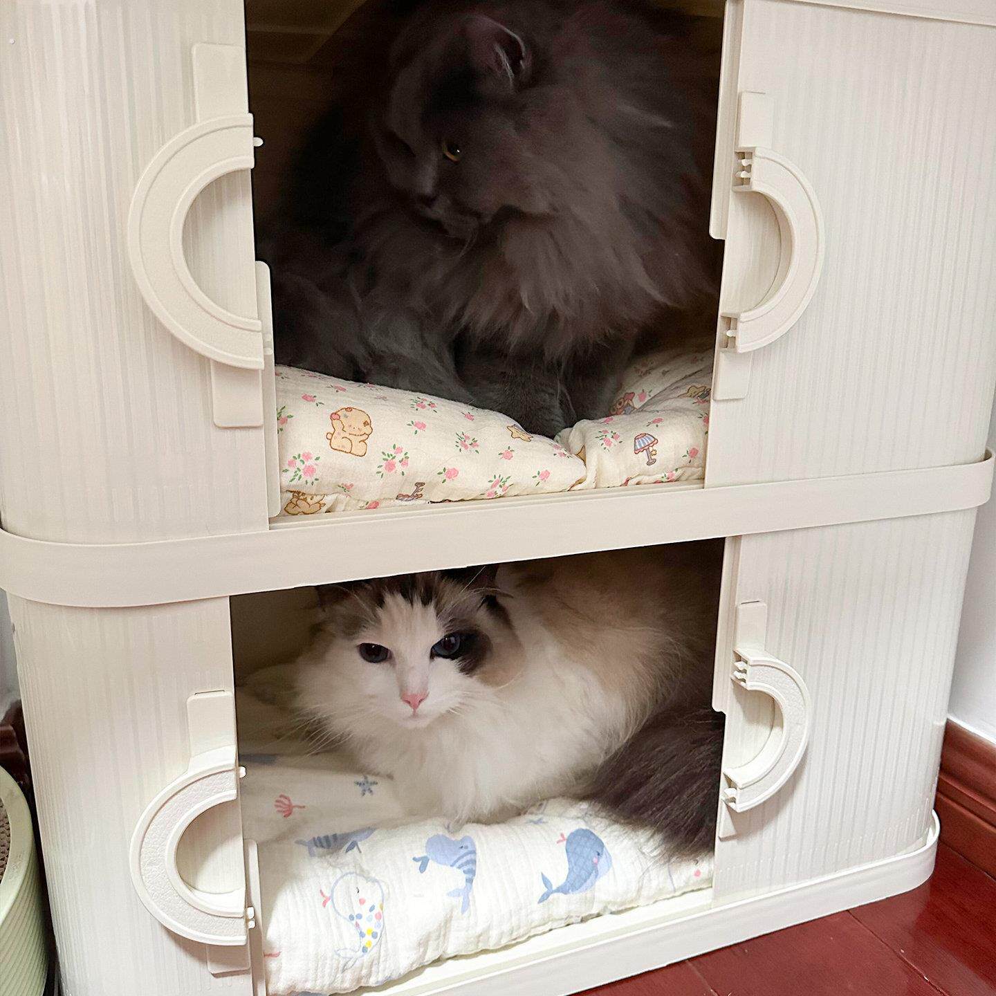 收纳柜猫窝四季通用半封闭式双层猫别墅家用猫笼安全感宠物小猫屋