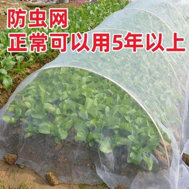 防虫网种菜专用网80目防虫罩加密纱网菜苗菜地果园网蔬菜防鸟罩