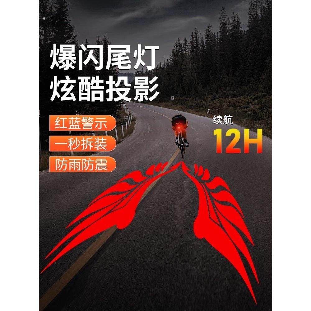 山地公路自行车夜间夜行警示闪光单车骑行夜灯激光投影爆闪后尾灯