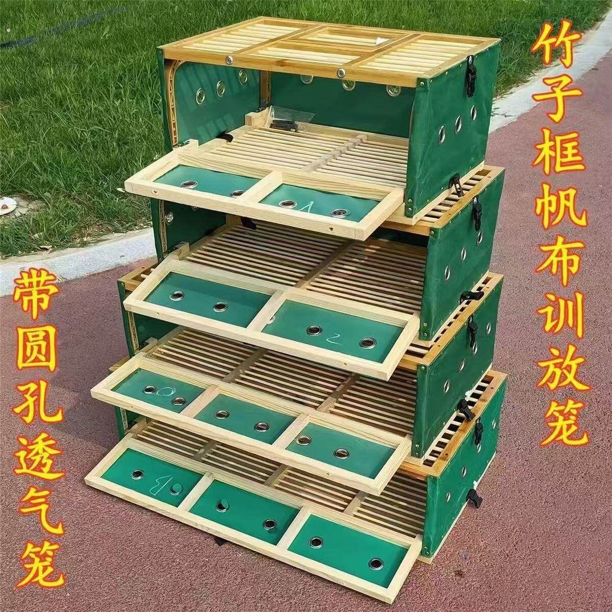 鸽子放飞笼竹木面圆孔透气孔训放笼信鸽赛飞笼子鸽子用品报道笼子
