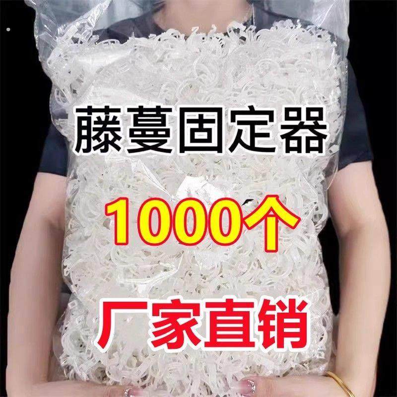 豆角西红柿黄瓜绿植绑枝蔬菜藤蔓捆绑固定夹扎带自动扣专用绑枝机,农机/农具/农膜,绑枝机/绑蔓机,淘宝优惠券,粉丝福利购,淘宝优惠卷