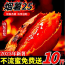 正宗山东烟薯25号蜜薯糖心流油红薯烤红薯专用沙地地瓜番薯山芋10