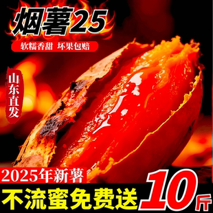 正宗山东烟薯25号蜜薯糖心流油红薯烤红薯专用沙地地瓜番薯山芋10