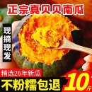 真贝贝南瓜10斤正宗山东新鲜板栗味惠和一号南瓜现摘婴儿孕妇粉糯