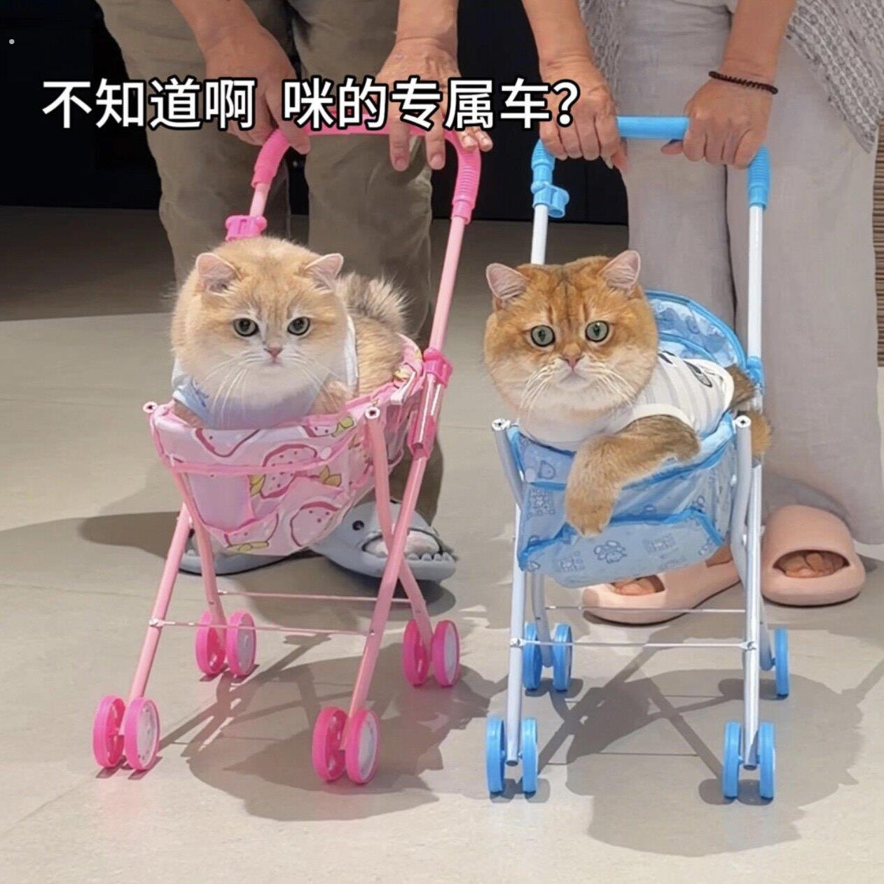 【咪的专属车】宠物手推车外出逛街遛弯载具可爱猫咪坐骑悠闲座椅