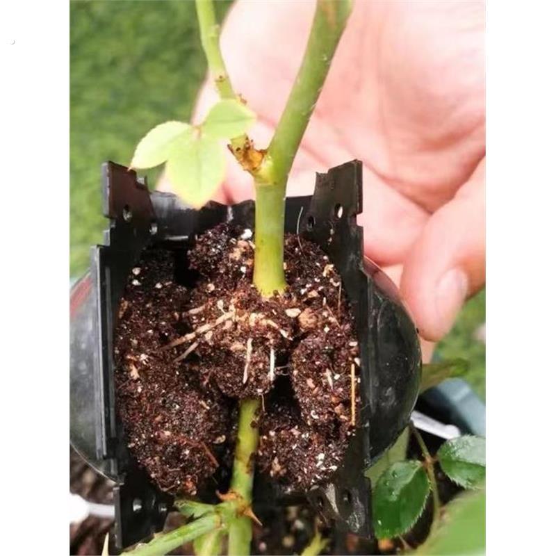 植物高压繁殖盒生根器花卉果树嫁接盒控根器高空压条扦插生根育苗