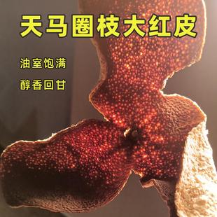 10年新会老陈皮干仓天马农家十五年泡水茶圈枝柑橘梅江东甲大红皮