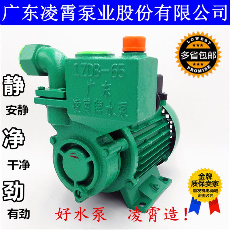 原装广东凌霄1ZDB-35/45/65 -B自吸清水泵家用自来水增压抽水机