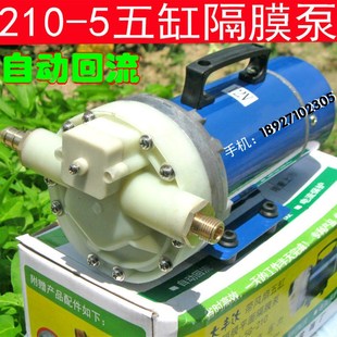 车载洗车器大功率高压隔膜增压水泵 12V24V48V60V电动直流洗车泵