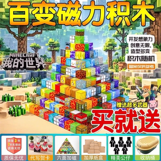 2025年网红爆款我的世界磁力方块儿童玩具男孩吸铁石积木生日礼物