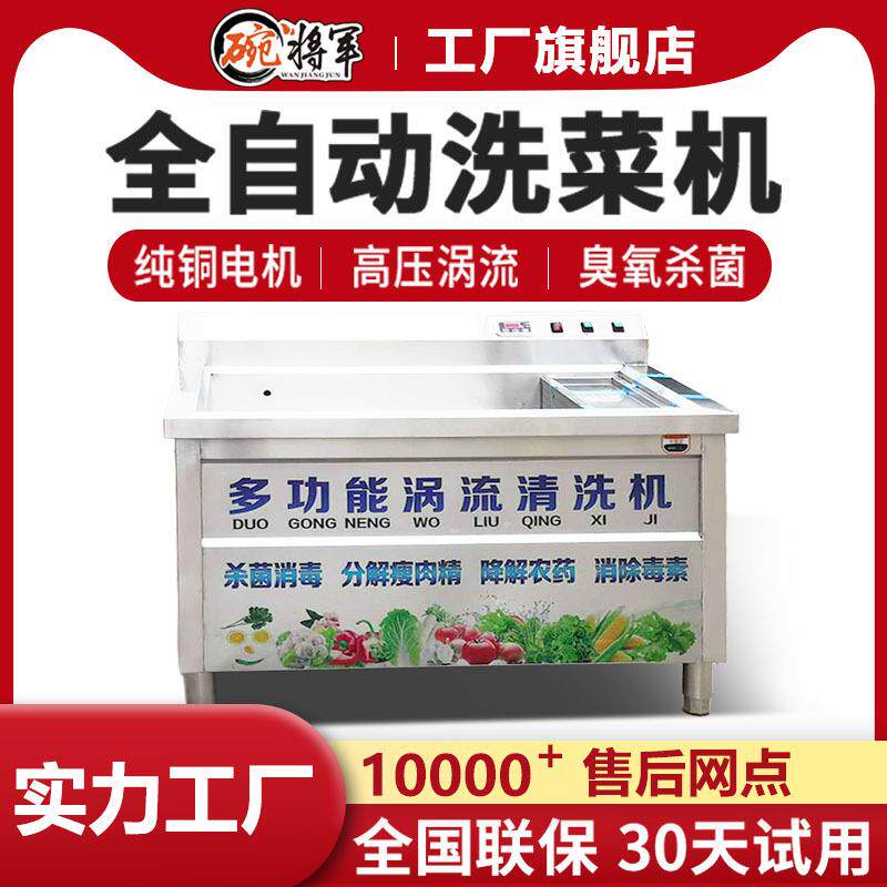 超声波商用洗菜机全自动多功能果蔬清洗机臭氧杀菌消毒一体机水果