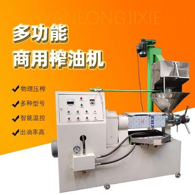 榨油机商用油坊全自动葵花籽辣椒籽炸油机大型牛油果棕榈仁榨油机