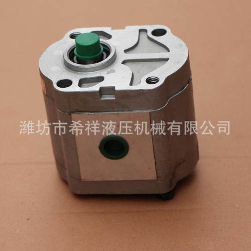 齿轮泵（内螺纹）定制大型机械液压马达液压泵