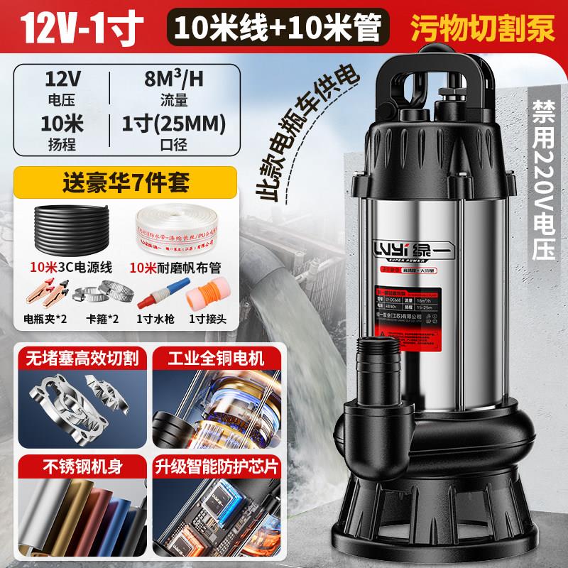 绿一无刷直流潜水泵48/60/72V电瓶家用小型农用灌溉电动车抽水泵图片